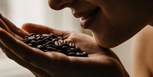 Beyond the Bag | How Savor Coffee is Engineering Global Coffee Resilience